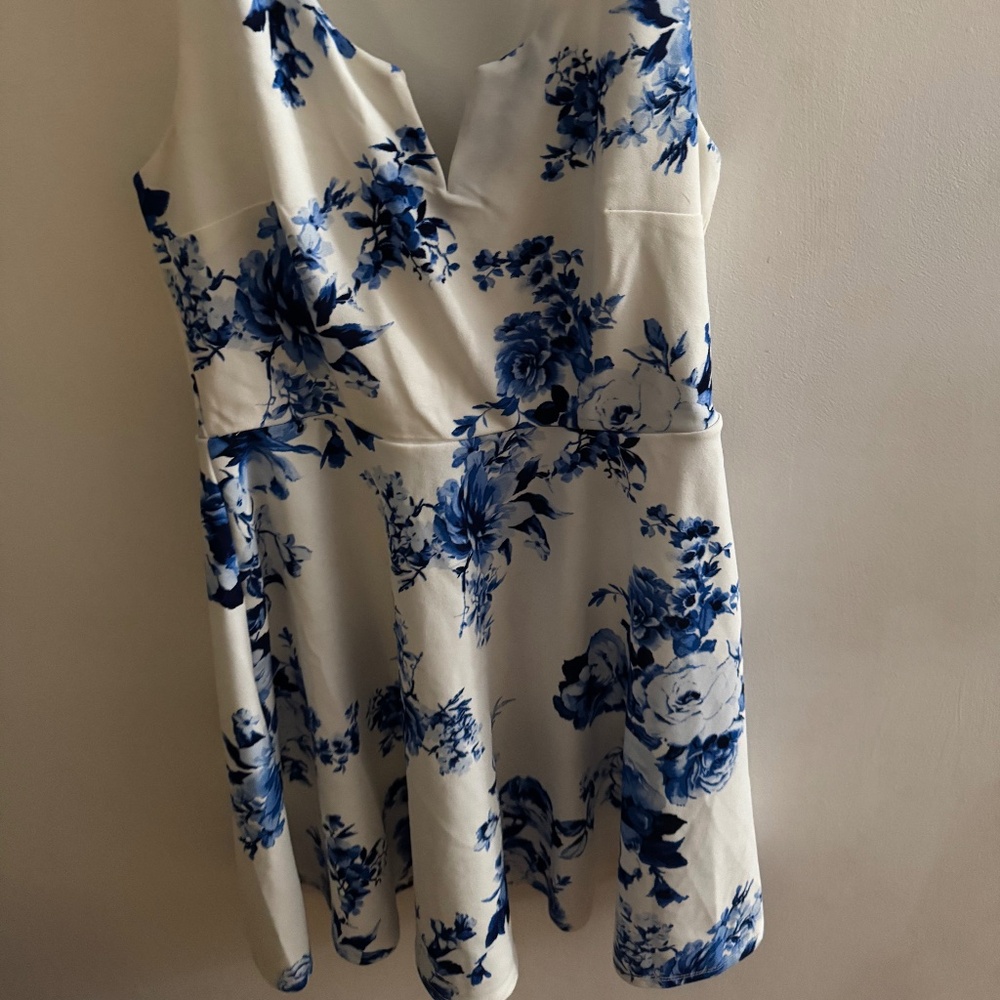 Alt’rd State A line Rush dress